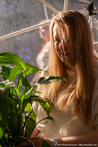 Fern Orchestra Fern Orchestra